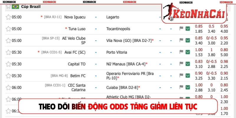Theo dõi biến động odds tăng giảm liên tục