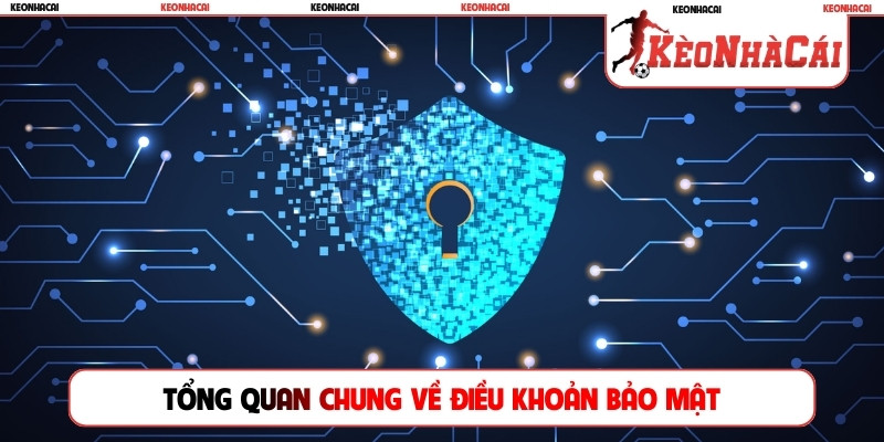 Tổng quan chung về điều khoản bảo mật